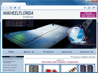 Sansnet web portfolio project 3